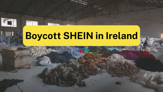 Shein headquarters hotsell